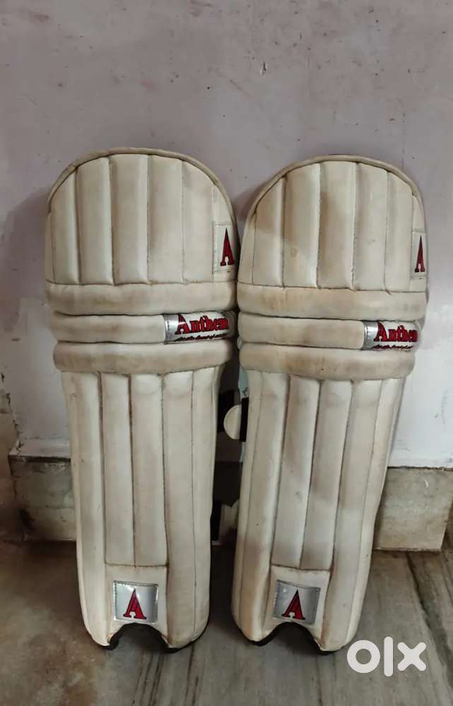 Batting Pads