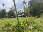 29 സെന്റ് വസ്തു മൊത്തമായി വില്പനക്ക്
