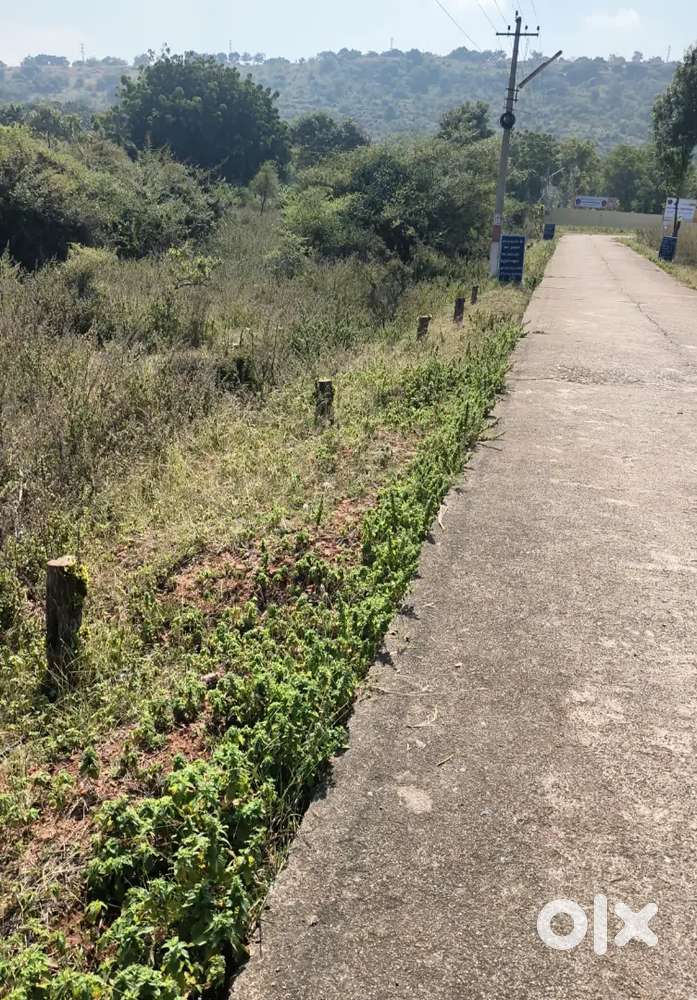 23/53 lp no west face plot silpa township nandyal road