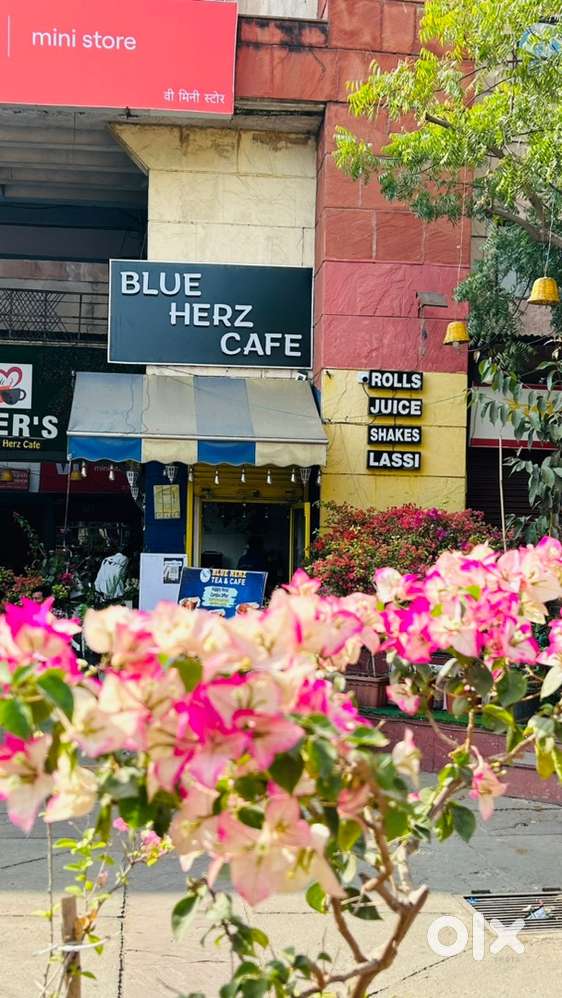 Can be 2 to 4 years experienced