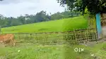 1bigha land..pwd roadside land