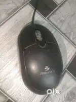 Mouse with long lastic wire