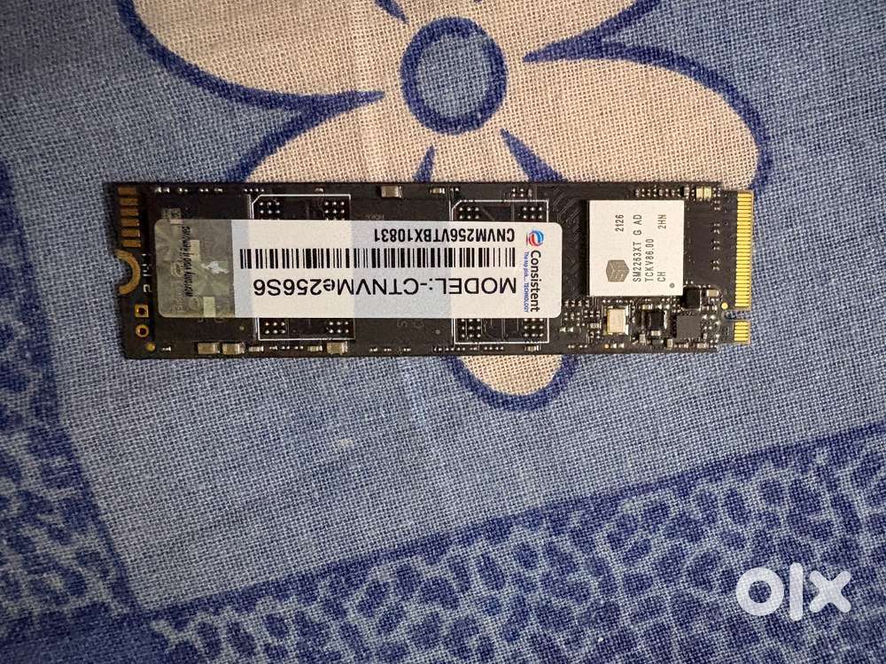 Consistent 256GB NVME SSD
