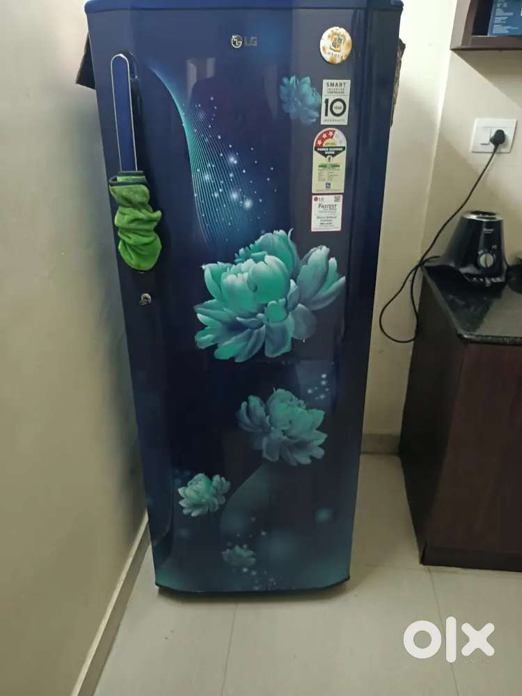 LG fridge single door