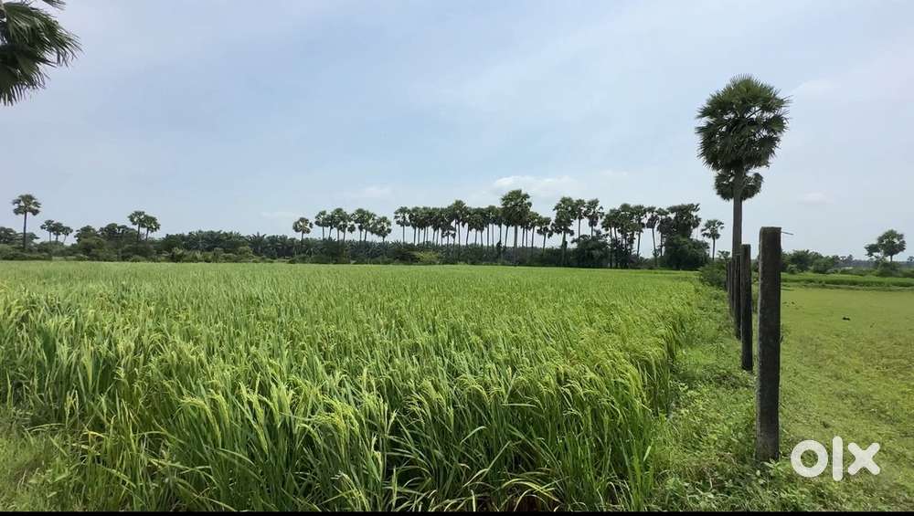 road facing land in vadisaleru in Rangampeta mandal