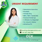 Operations Executive