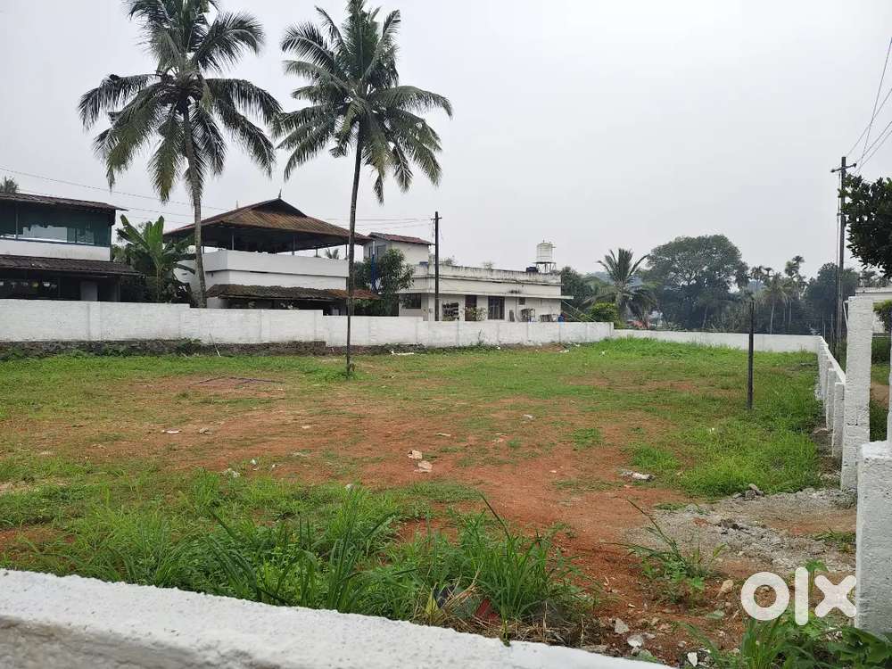 House plot 3,4,5,6 cnts Kakkanad Kangarappady 10 pr cnt Negotiable