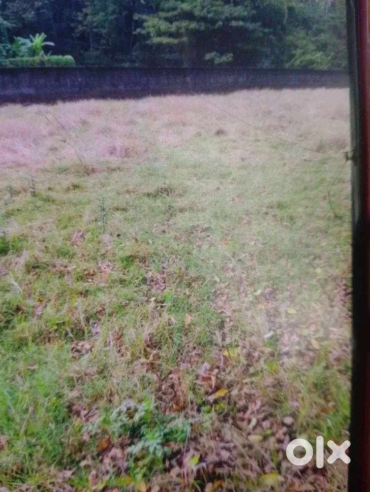 5 cent plot for sale