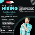 Real Estate Sales Executive