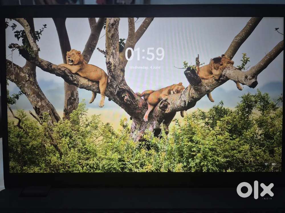 Dell latitude i5 11 Gen Laptop