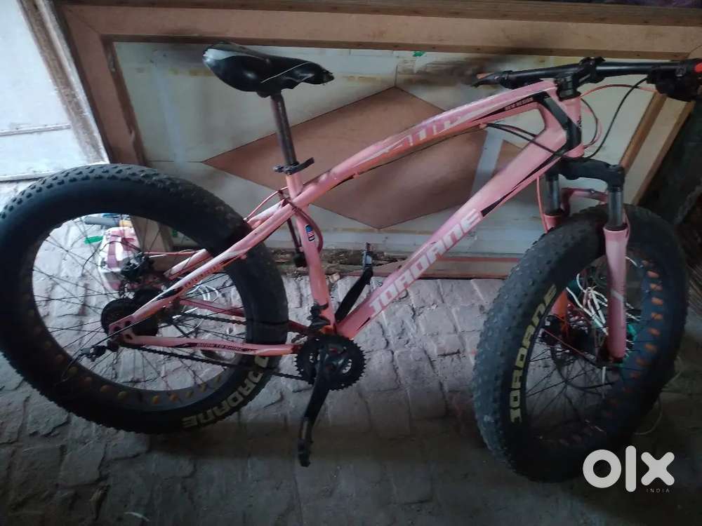 Fat bike                                              gare not working