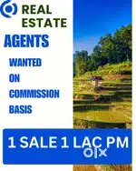 Real Estate Agent Wanted