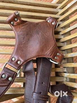 Dual Camera Leather Shoulder Strap . Brand New!