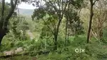 23 Cent farm land for sale near oothu, kodaikanal