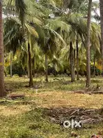 1To50 Acrea Land for sales in karaikal.nagaipattinam.Thirunallar