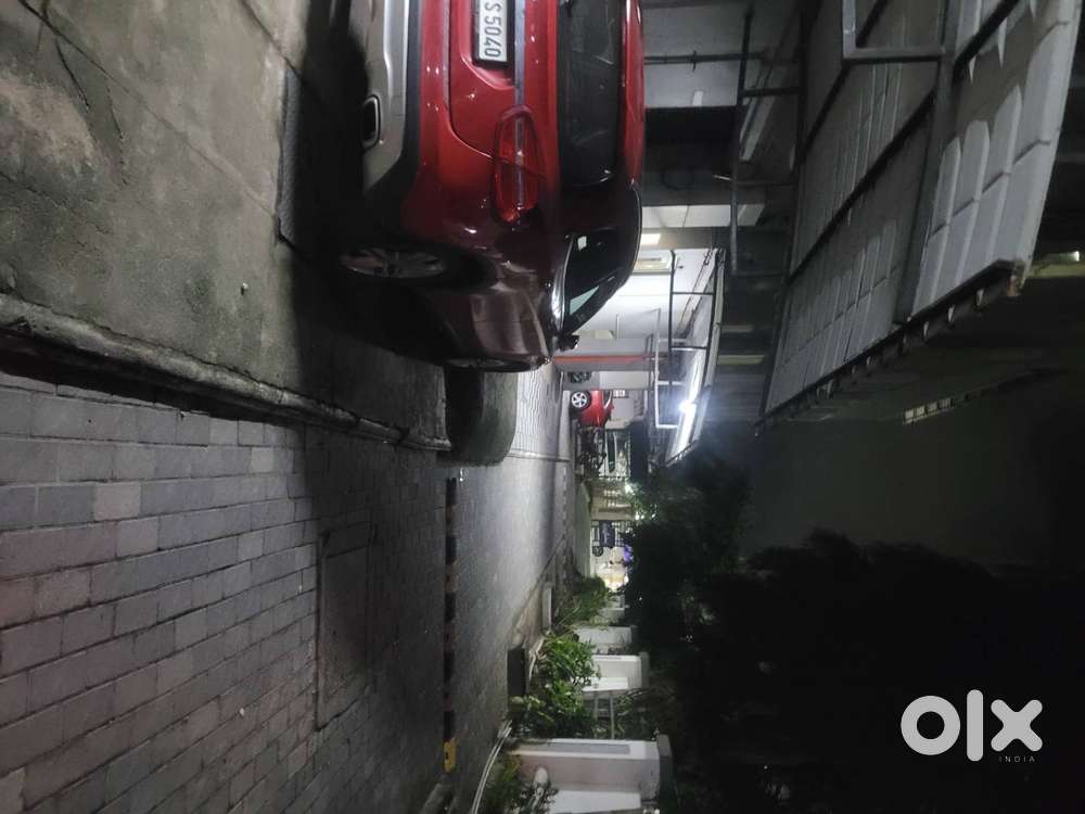 Supplier + tea master