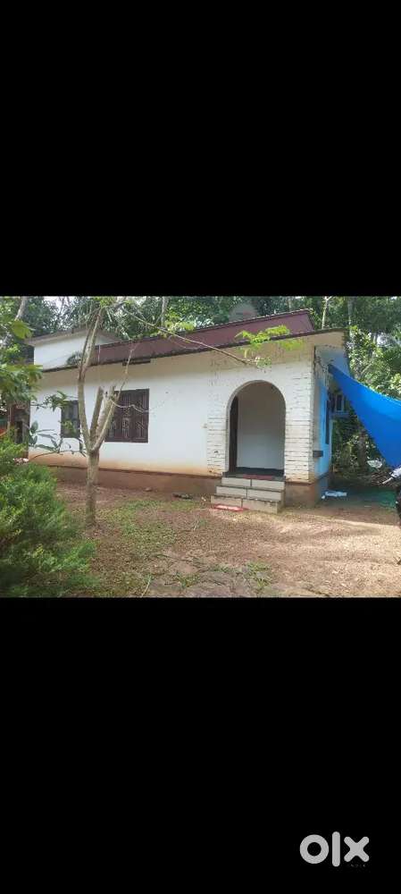 House for rent