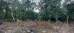 Near Neyyar Medicity