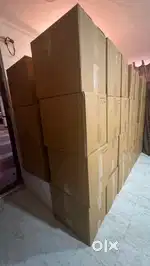 Ladies branded lot