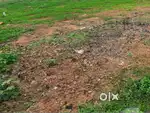 Plot at Pallikaranai Tamilar Kudiiruppu