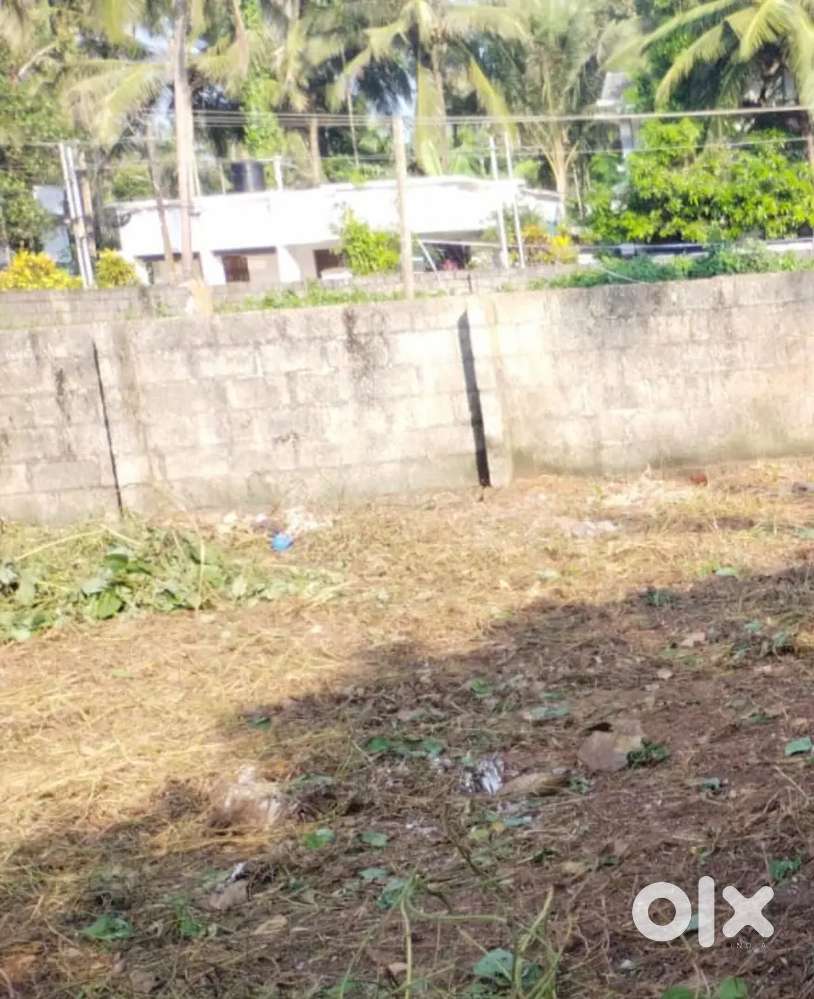 6.70 cent Residencial & commercial land Athannikkal