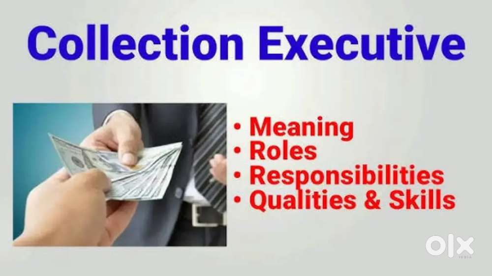 Need Collection Excutive