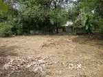 കാർമൽ സ്കൂളിന് സമീപം 1 2 സെന്റസ്ഥലം വിൽപനക്