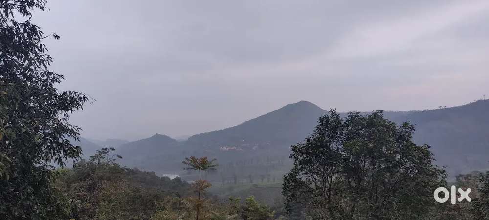 Avt estate view panchayath road suitable for resorts and cottages