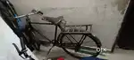 Bangla Cycle
