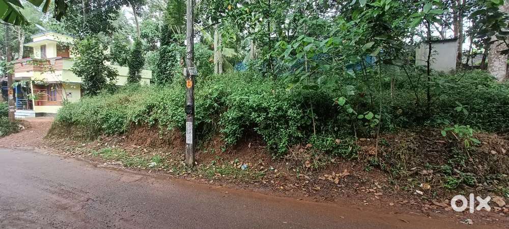 7sent square plot for sale road side location vejaramood chemboor