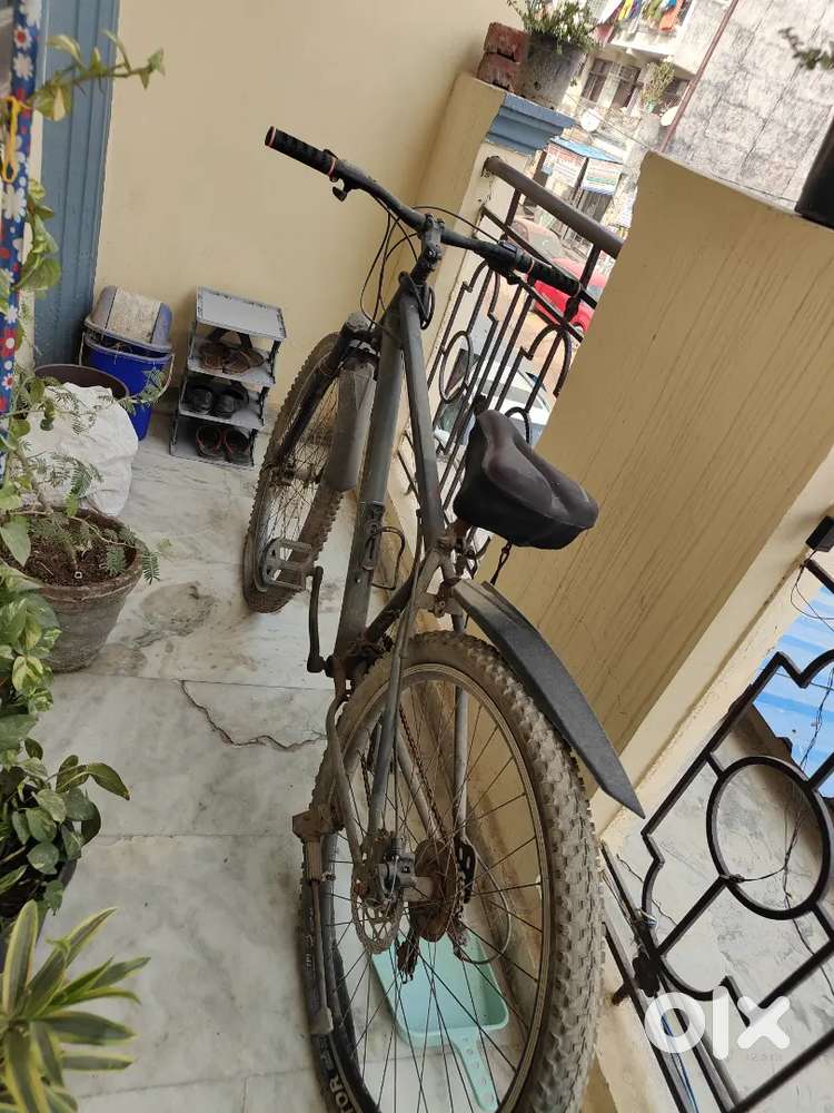 Nice cycle