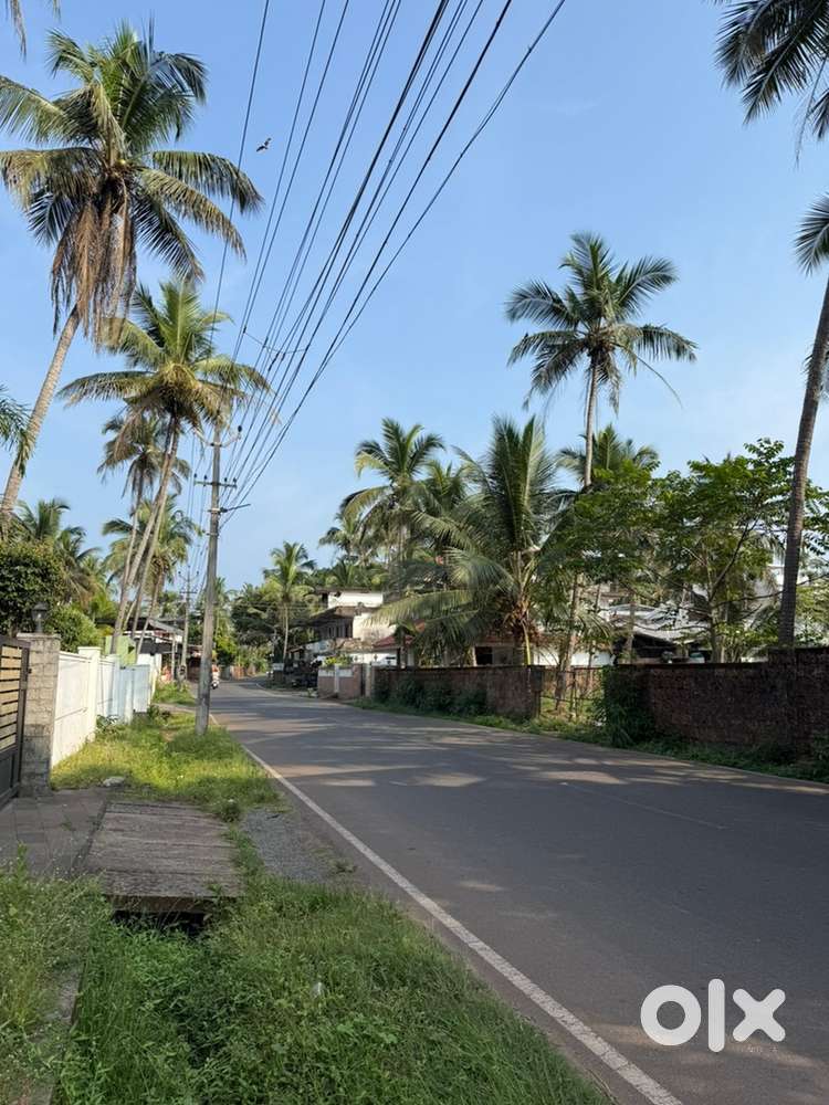 House Plot for Sale – 10 Cents – Kuruva Road, Thayyil