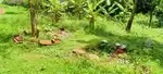 10 cent House plot Keralapuram - Perumpuzha Route (200 meter Bus way)j