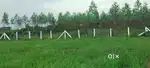 Agricultural land for sale in Bhogapuram