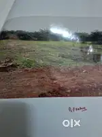 Chinthareddy palem. 2.5km children park.nellore