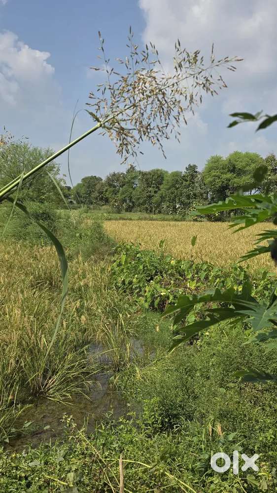 Plot for  near  sai guest house .