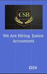 Junior accountant