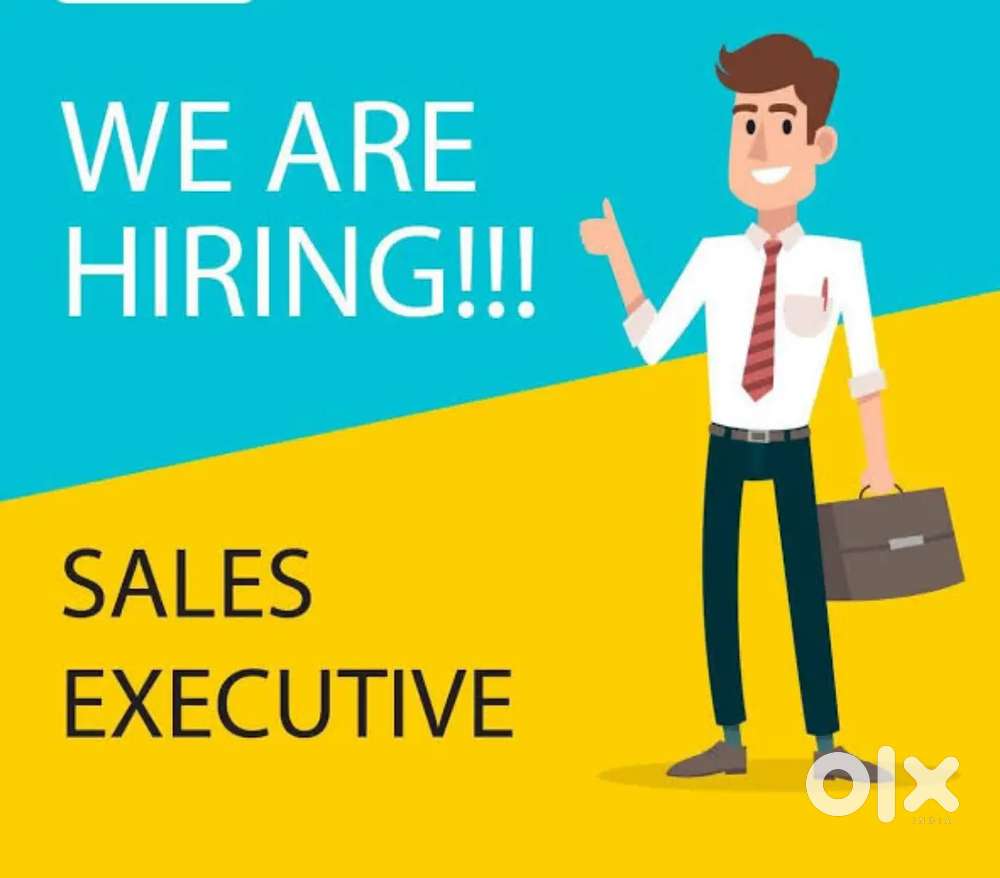 Required Sales Executive for Field