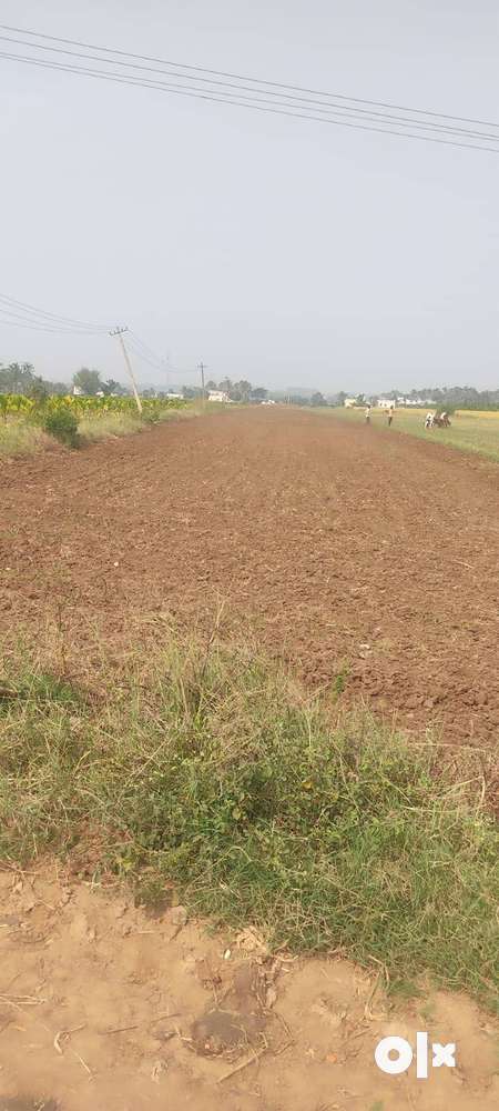 2.5 acre agriculture land in Rajanahalli