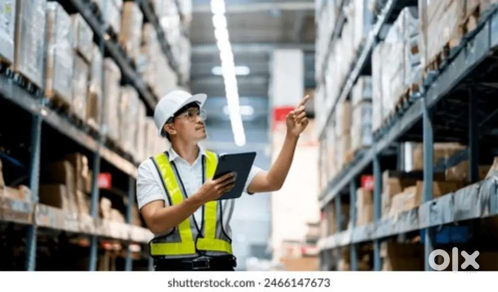 OPENINGS FOR WAREHOUSE COMPANY