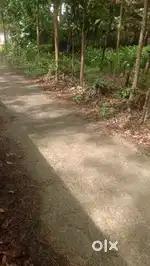 15സെന്റ് വസ്തു ഉടൻ വിൽപ്പനക്ക്