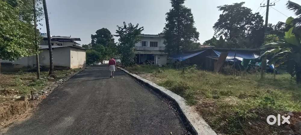 ANGAMALY ST,REETHA CHURCH NEAR, 5 6 8 10 CENT PLOTS