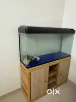 4Feet large imported aquarium for sale