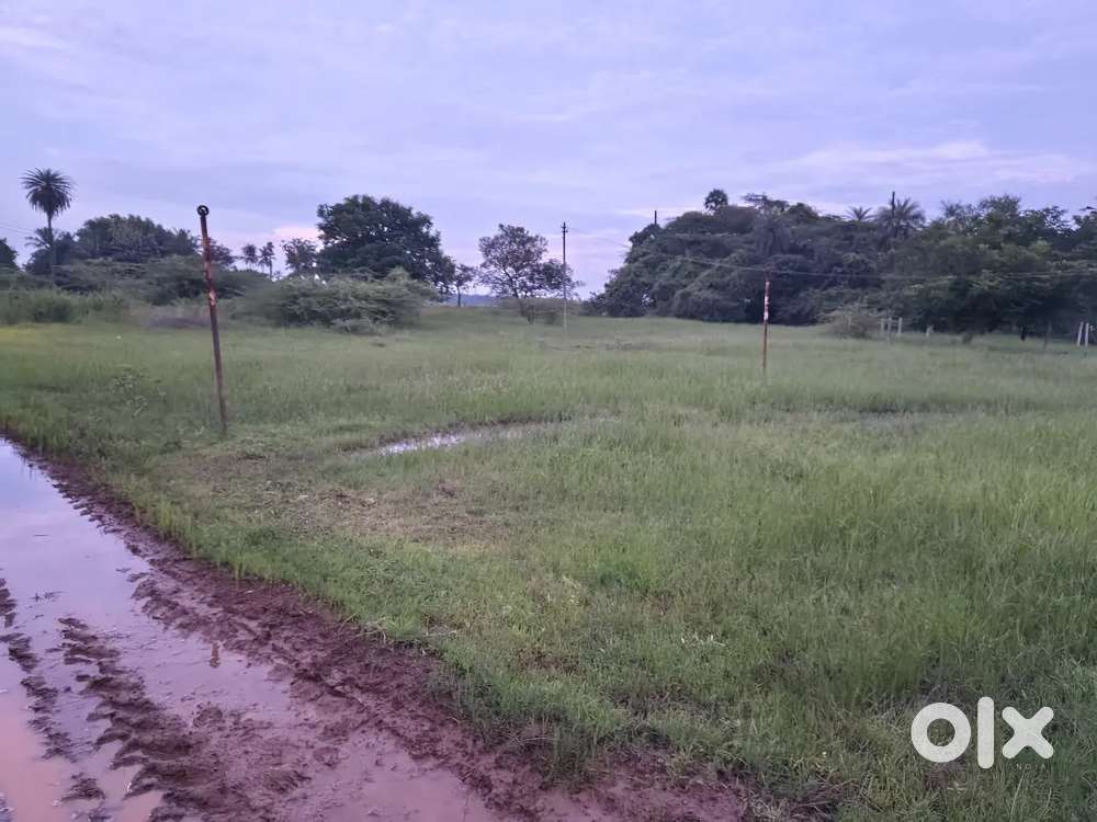Land for Sale – Gomathi Amman Nagar, Natham (Panchetty)