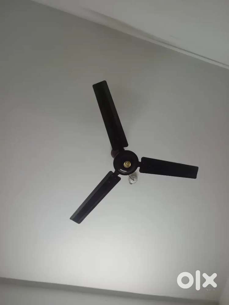 FAN for selling