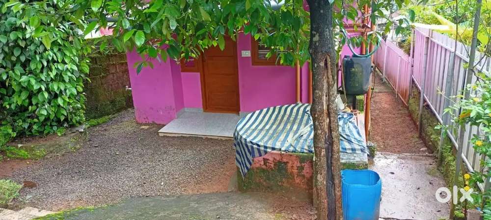 2.5 Cent Plot With House -600000 ( Putthuppally Petachuvadu)