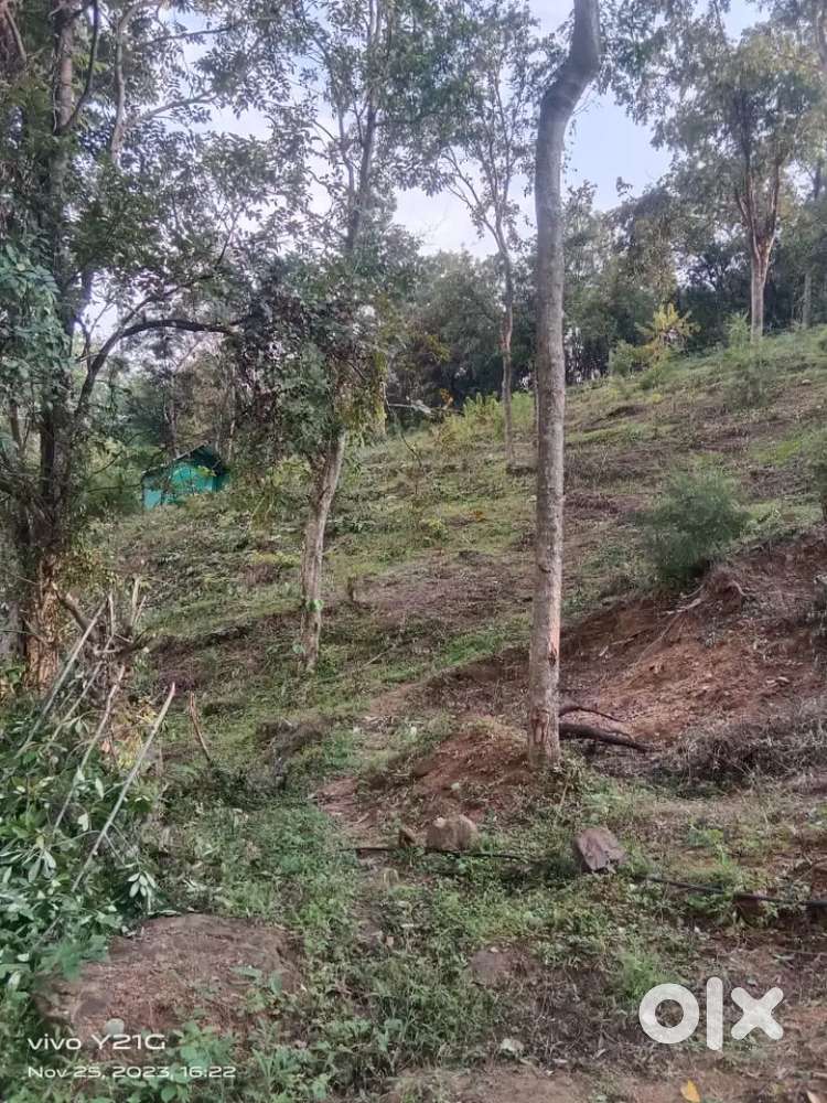 Super Property near marayoor and kanthaloor