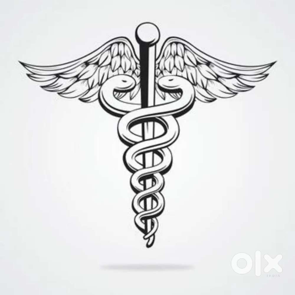 Teacher (bsc,medical)