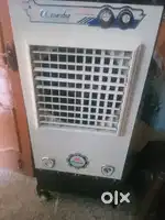 Cooler 3 month old