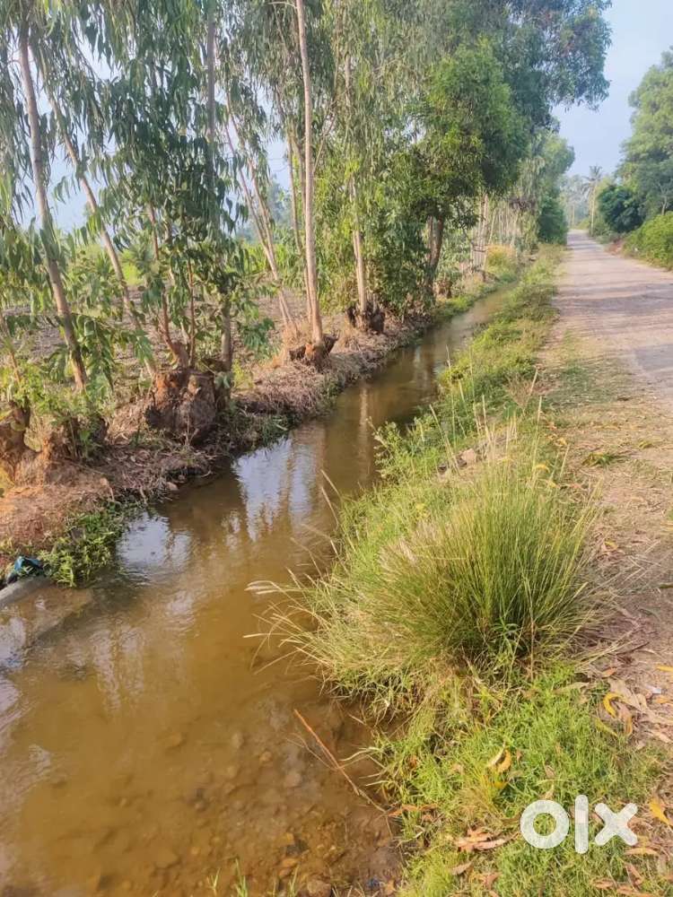 25 guntha agriculture land for sale